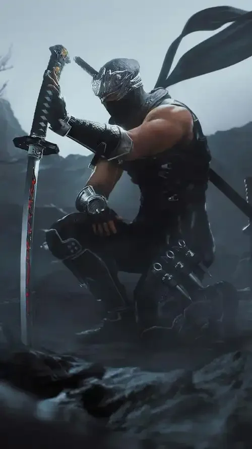 忍者龙剑传4截图