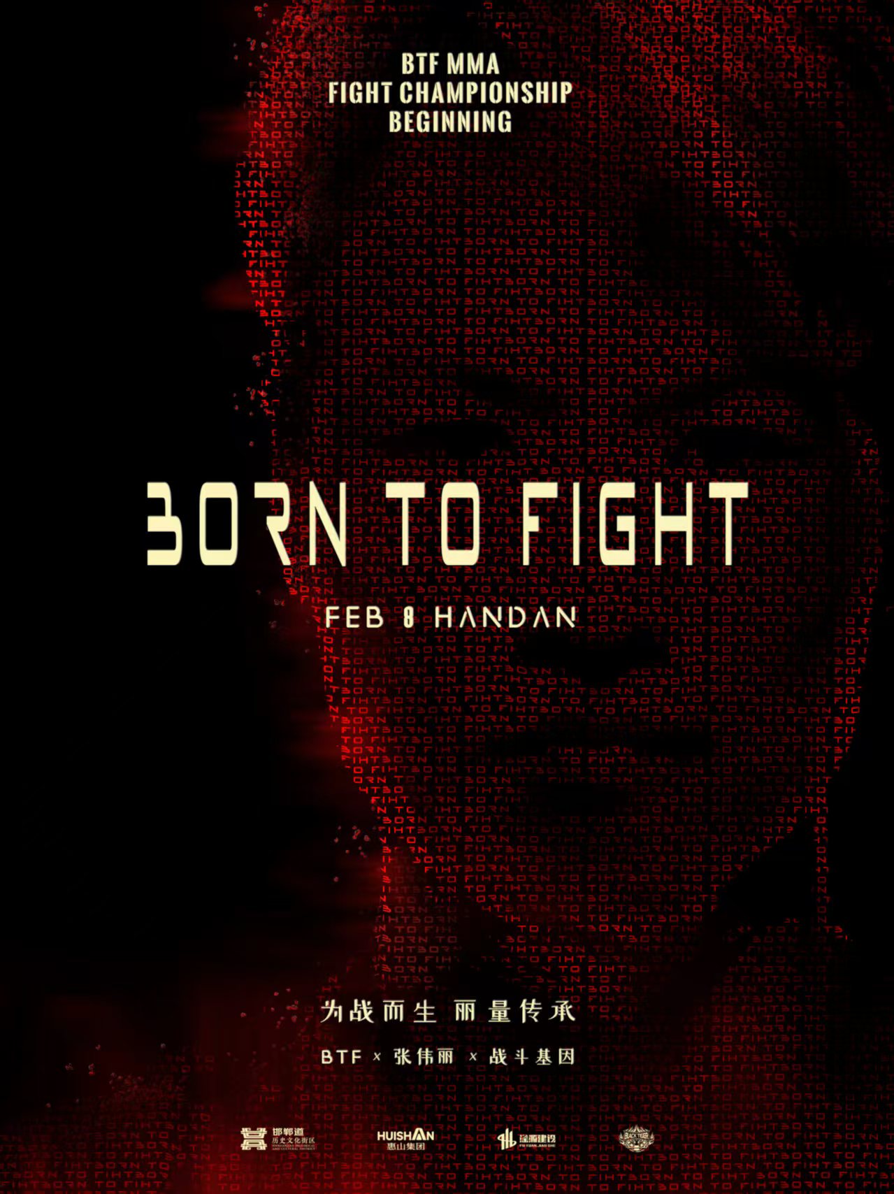 张伟丽2026年2月8日创办BTF赛 演绎武术格斗新篇