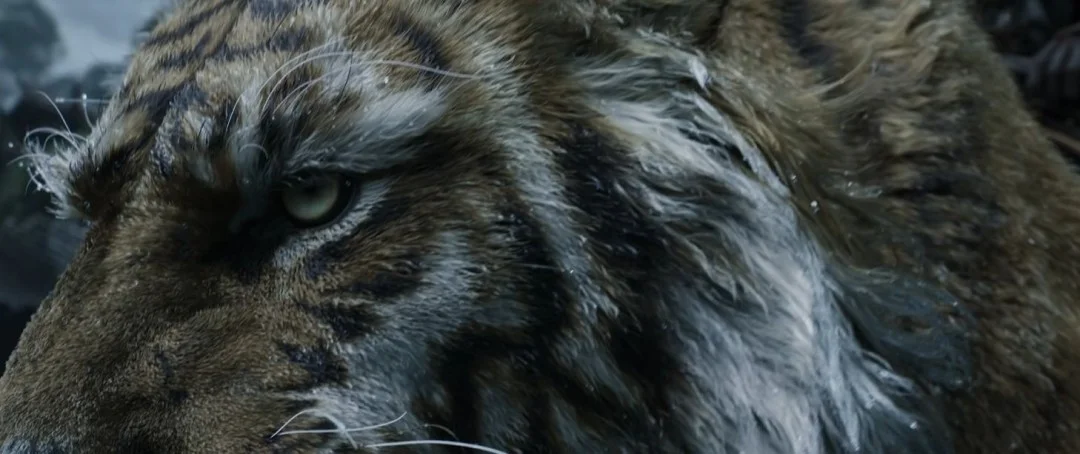 央视农业详解「黑神话：钟馗」传说与老虎原型助新IP出海