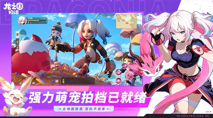 龙之国物语截图