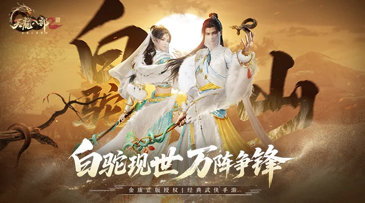 天龙八部2：飞龙战天截图