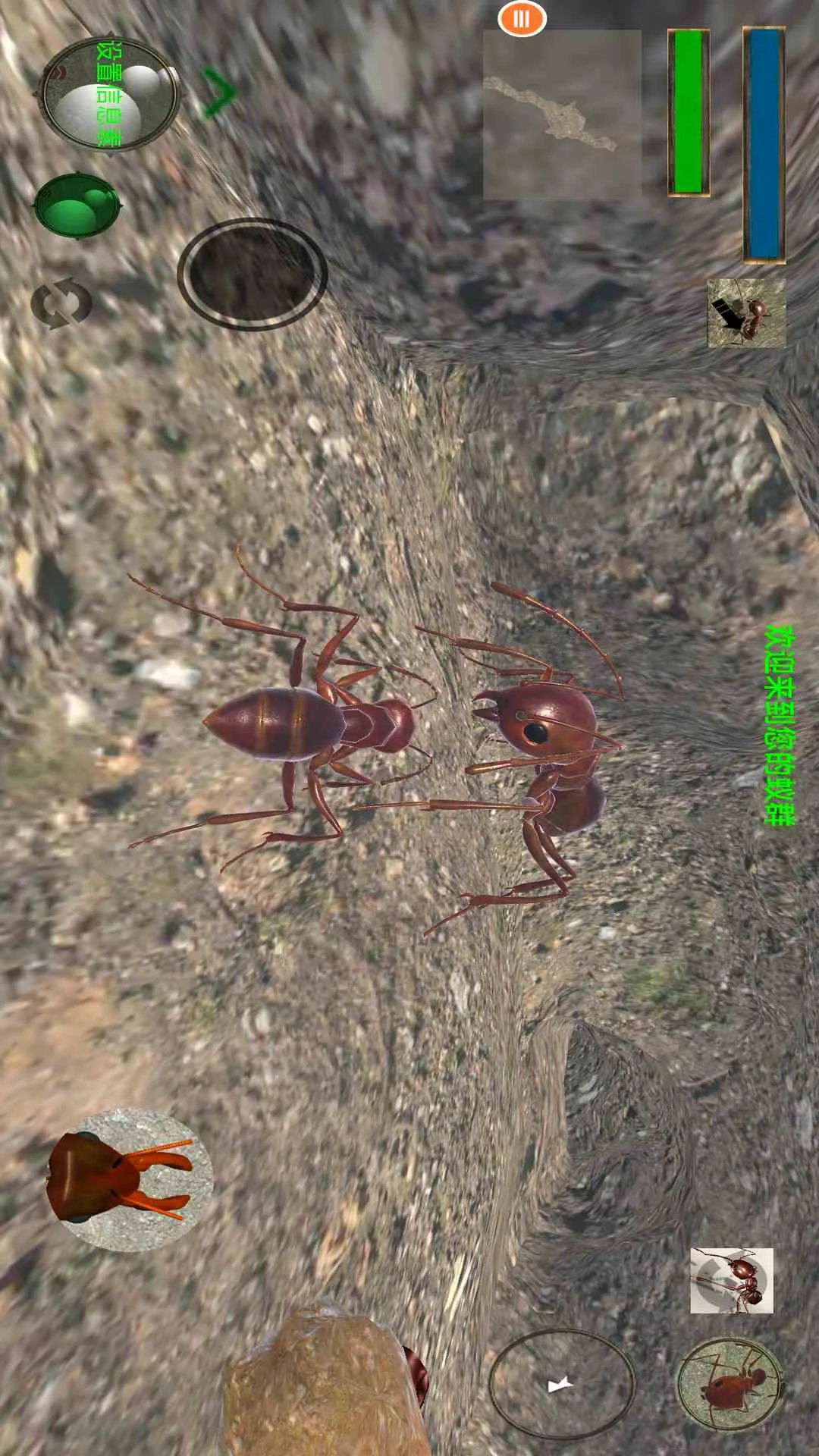 蚂蚁模拟器截图