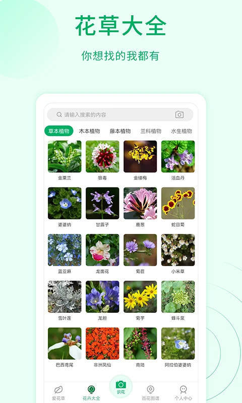 花草识别截图