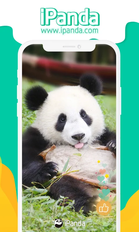 iPanda截图