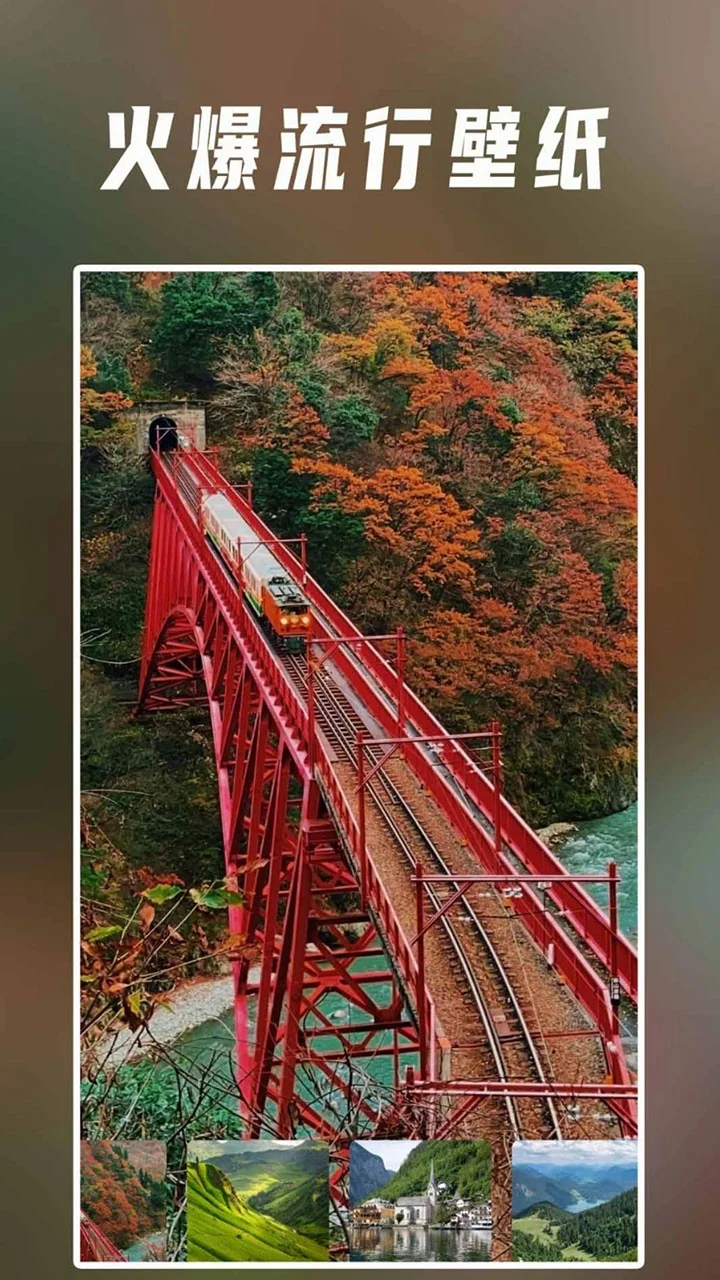 星野茆壁纸截图