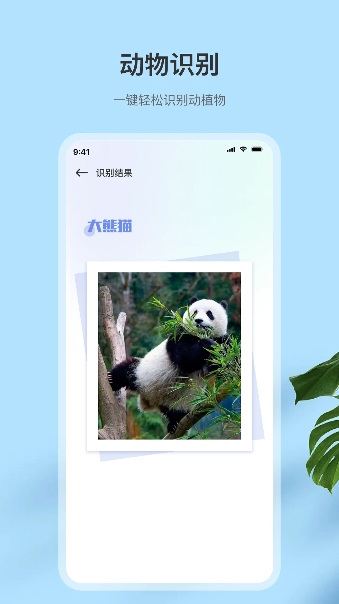 图片转文字翻译截图