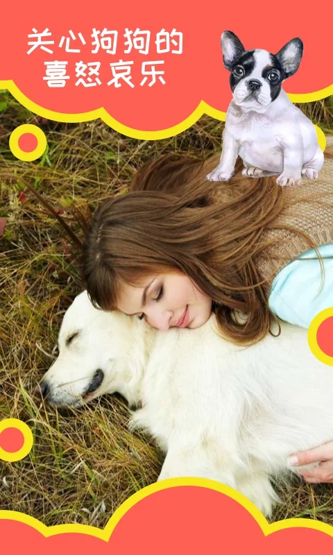 狗狗助手截图