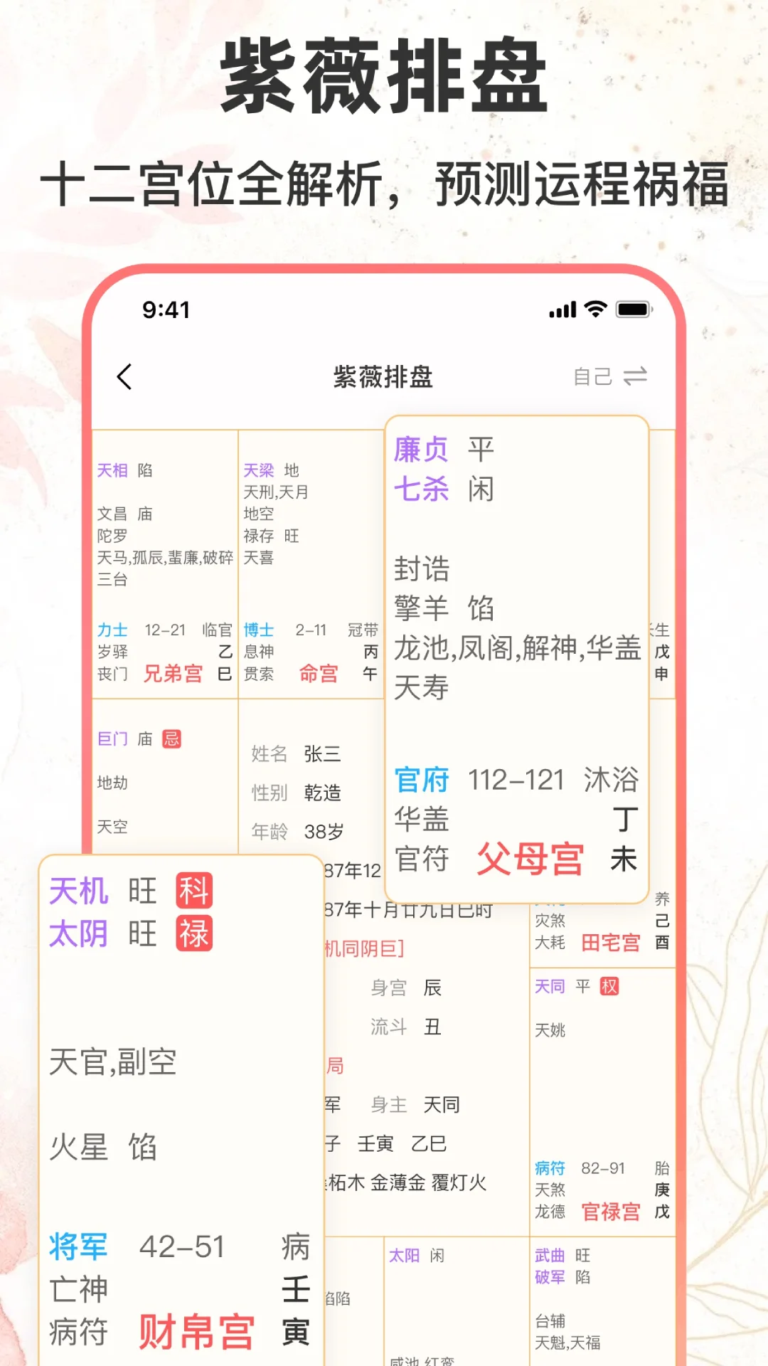 八字排盘助手截图