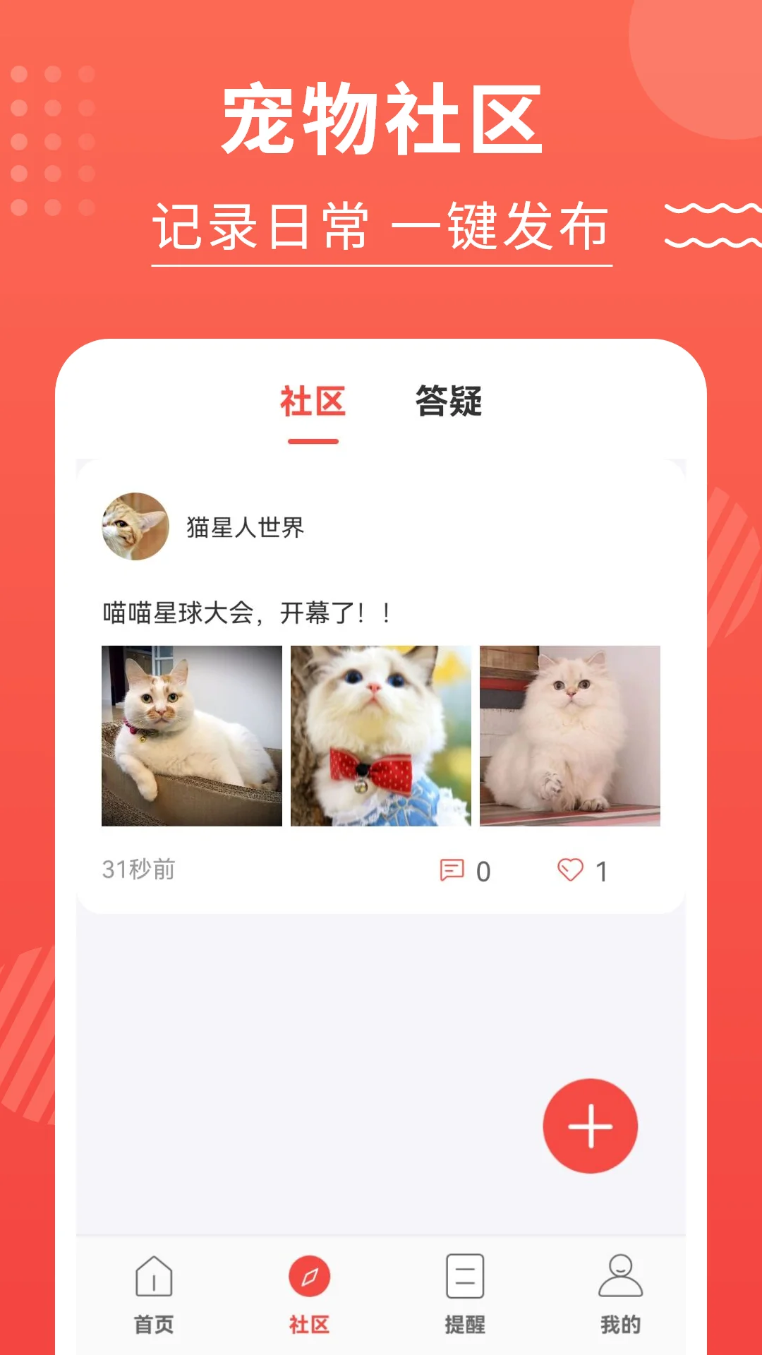 猫猫翻译器截图