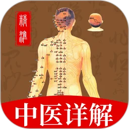 穴位经脉详解